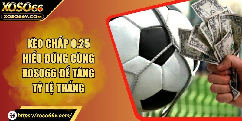 Kèo chấp 0.25 hiểu đúng cùng XOSO66 để tăng tỷ lệ thắng