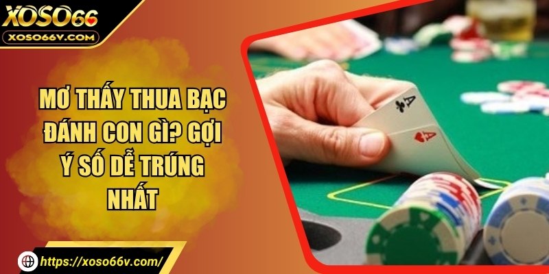 Mơ thấy thua bạc đánh con gì? Gợi ý số dễ trúng nhất