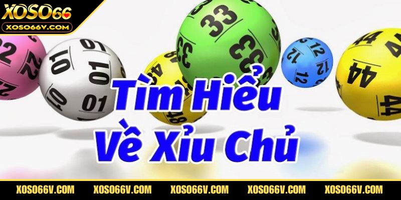 Giải nghĩa xỉu chủ là gì trong lô đề online dễ hiểu nhất